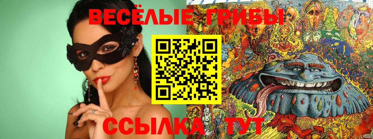 Чайковский  Псилоцибиновые грибы ЛСД  Вход с VPN 